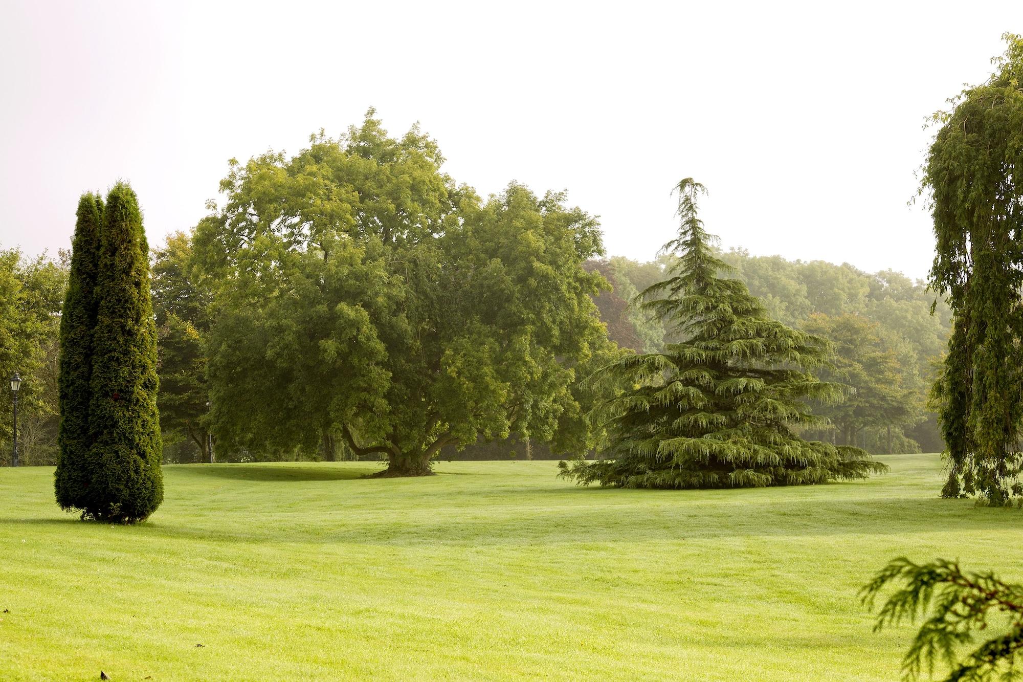 Moyvalley Hotel & Golf Resort Eksteriør bilde