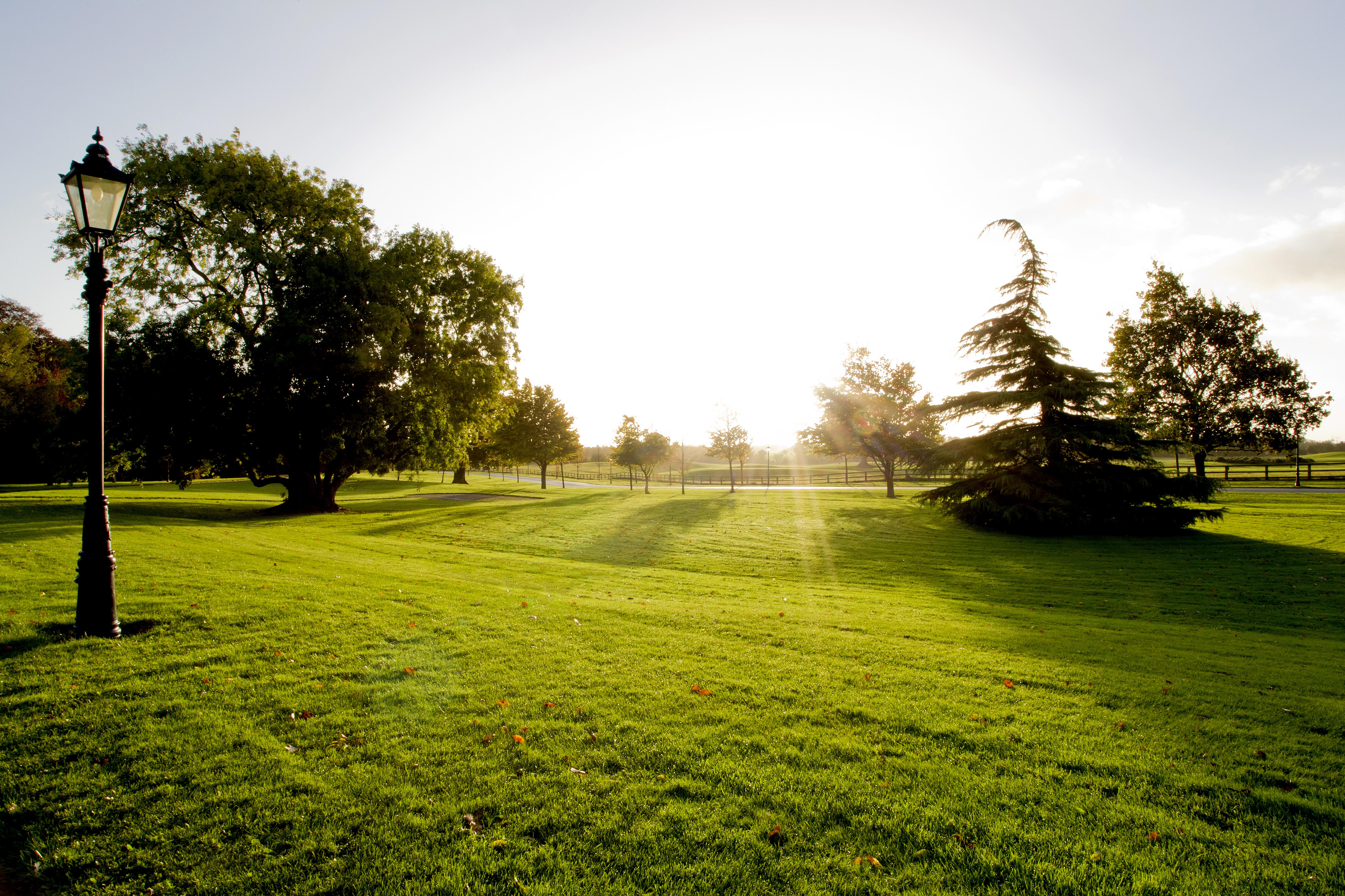 Moyvalley Hotel & Golf Resort Eksteriør bilde